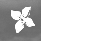 Banco-BPI-PORTUGAL